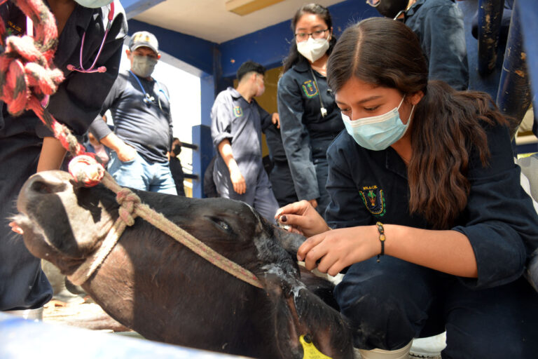 Desarrollan alumnos de la Facultad de Medicina Veterinaria y Zootecnia de la UNACH actividades académicas de campo￼