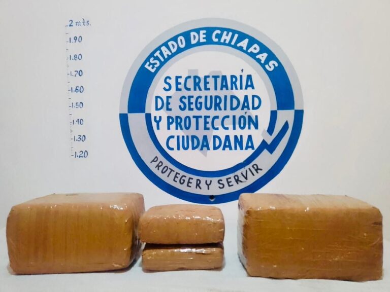 Asegura SSyPC 13 kilos de marihuana en Arriaga