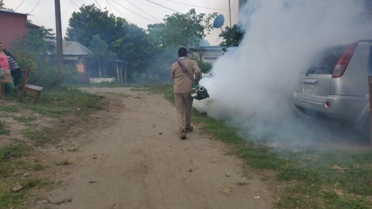 PUERTO MADERO SE SUMA AL COMBATE DEL DENGUE, ZIKA Y CHIKUNGUNYA