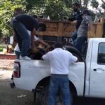 COLONIAS DEL SUR-ORIENTE DE TAPACHULA SERÁN INTERVENIDAS CON DESCACHARRIZACIÓN