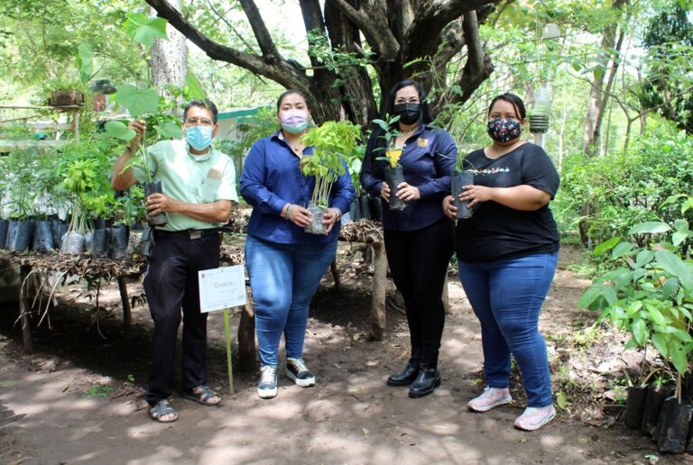 <strong>Reforestará UNACH  el circuito universitario</strong>