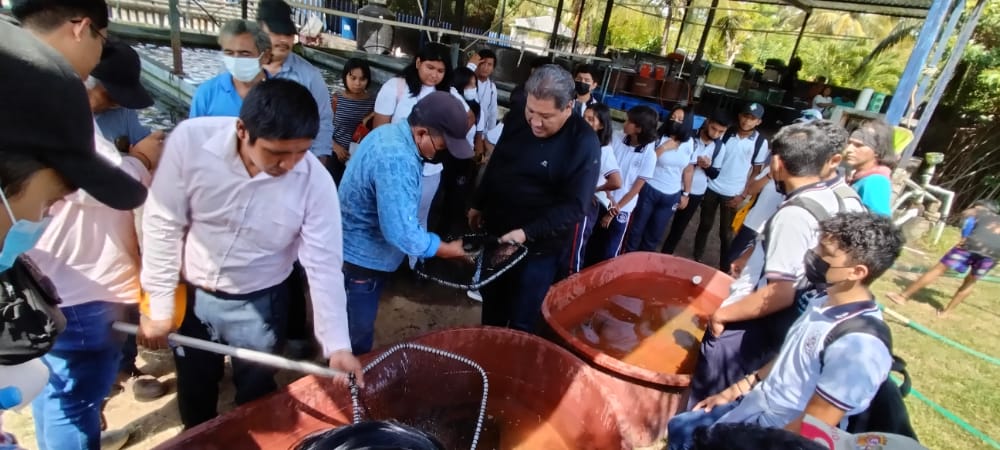 Impartió UNACH el curso sobre cultivo eficiente de mojarra tilapia