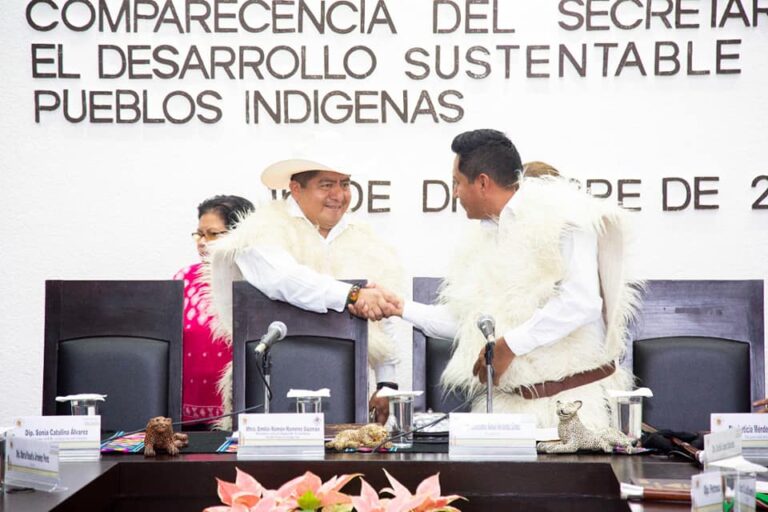 Desarrollo social de los pueblos indígenas, tarea constante