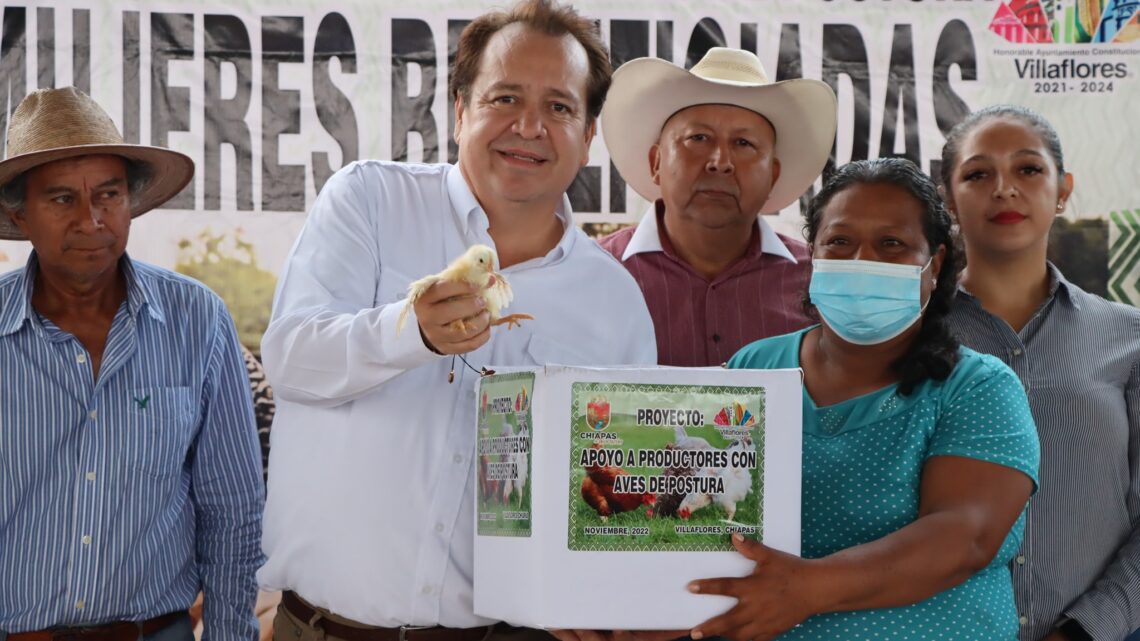 En Chanona Mariano Rosales entrega 1800 paquetes de aves de postura