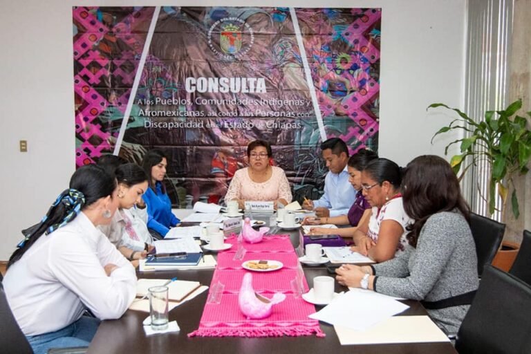 Aprueban calendario para realizar foros de consulta en materia de educación indigena y afromexicana