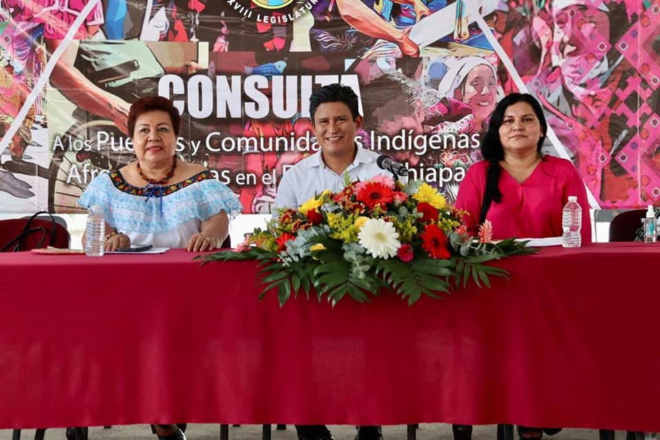 Participación ciudadana impulsa consulta en materia de personas Indígenas y Afromexicanas, relativo a la acción de Inconstitucionalidad
