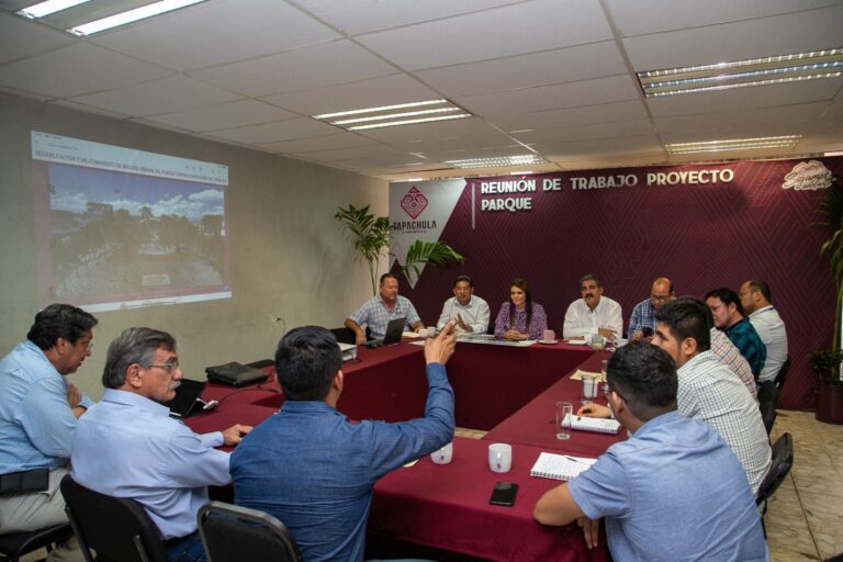 ESPECIALISTAS RESPALDAN PROYECTO DEL PARQUE CENTRAL “MIGUEL HIDALGO” DE TAPACHULA