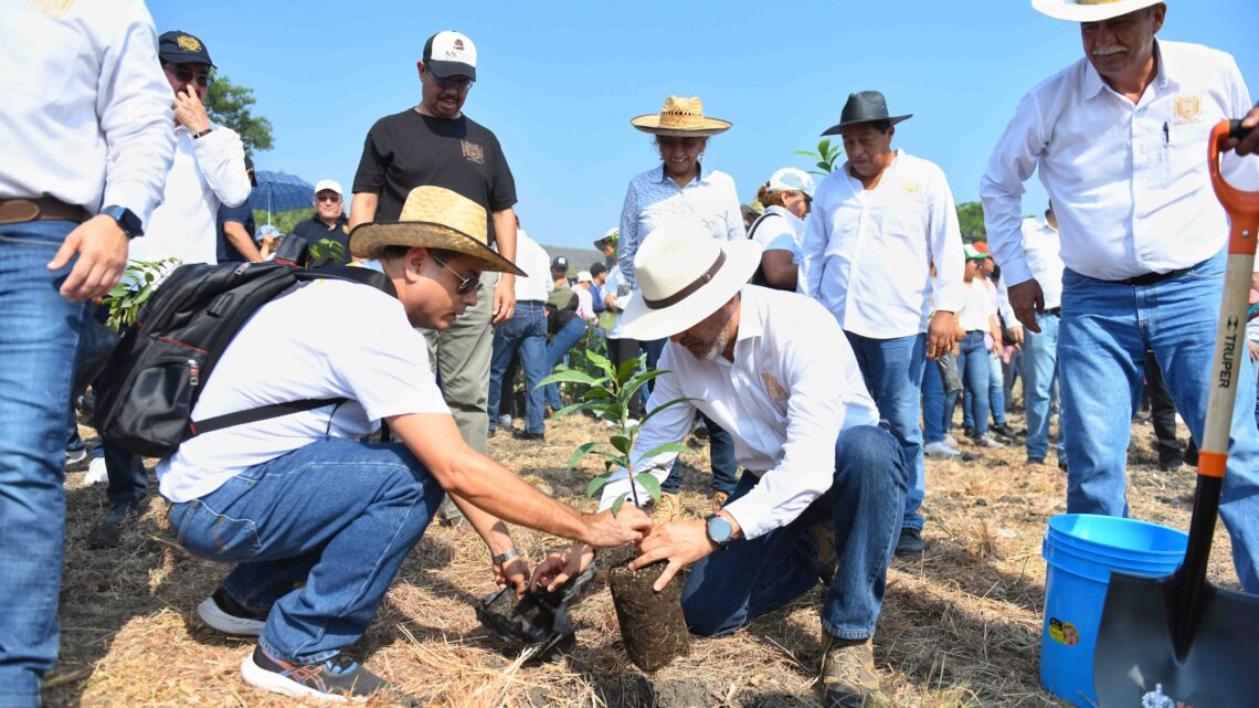 Siembra comunidad UNACH más de 2 mil plantas