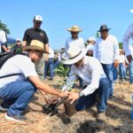 Siembra comunidad UNACH más de 2 mil plantas