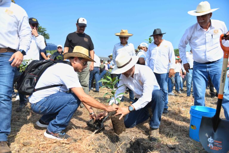 Siembra comunidad UNACH más de 2 mil plantas