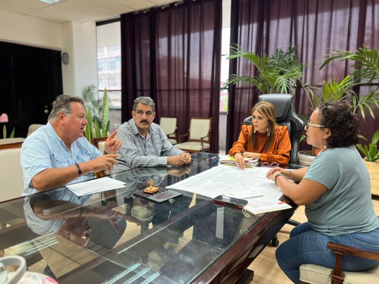 REVISAN PROYECTO DE INSTALACIÓN DE CONTENEDORES DE BASURA PARA TAPACHULA