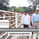 Entrega Rutilio Escandón sementales bovinos y paquetes de ovinos para fortalecer el sector ganadero de Chiapas