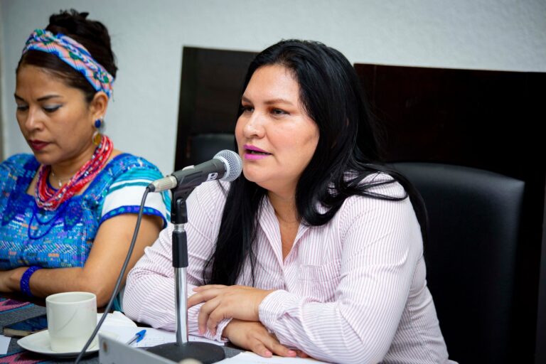 Yakalotik ta yilel bin ut’il ya yich’ ach’utesel mantalil ta swenta uts’intayel ta jlumaltik Chiapas: Elizabeth Escobedo Morales