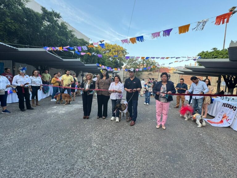 Con gran alegría, realiza el Voluntariado del Poder Judicial primer Carnaval Perruno