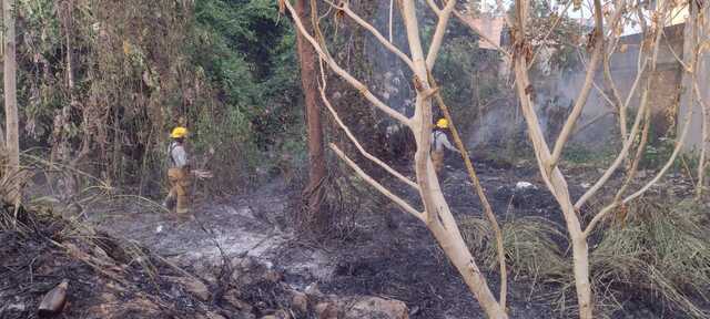 PC TAPACHULA ATIENDE INCENDIO DE PASTIZALES EN DISTINTOS LUGARES DE LA CIUDAD