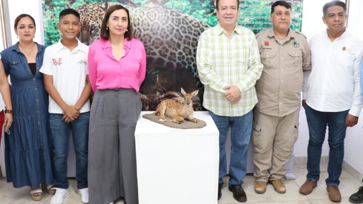 Alcalde de Villaflores y su esposa inauguran Exposición: “Riqueza Faunística de Chiapas”