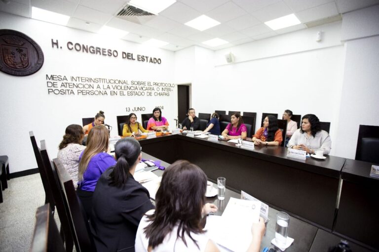 En comisiones analizan protocolo de atención a la violencia vicaria o interpósita persona