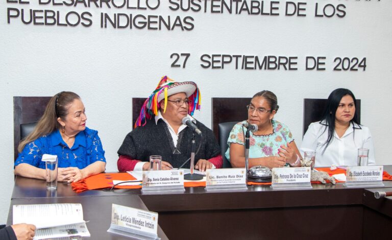 En Chiapas están garantizados los derechos de los pueblos indígenas: Benito Ruiz Díaz