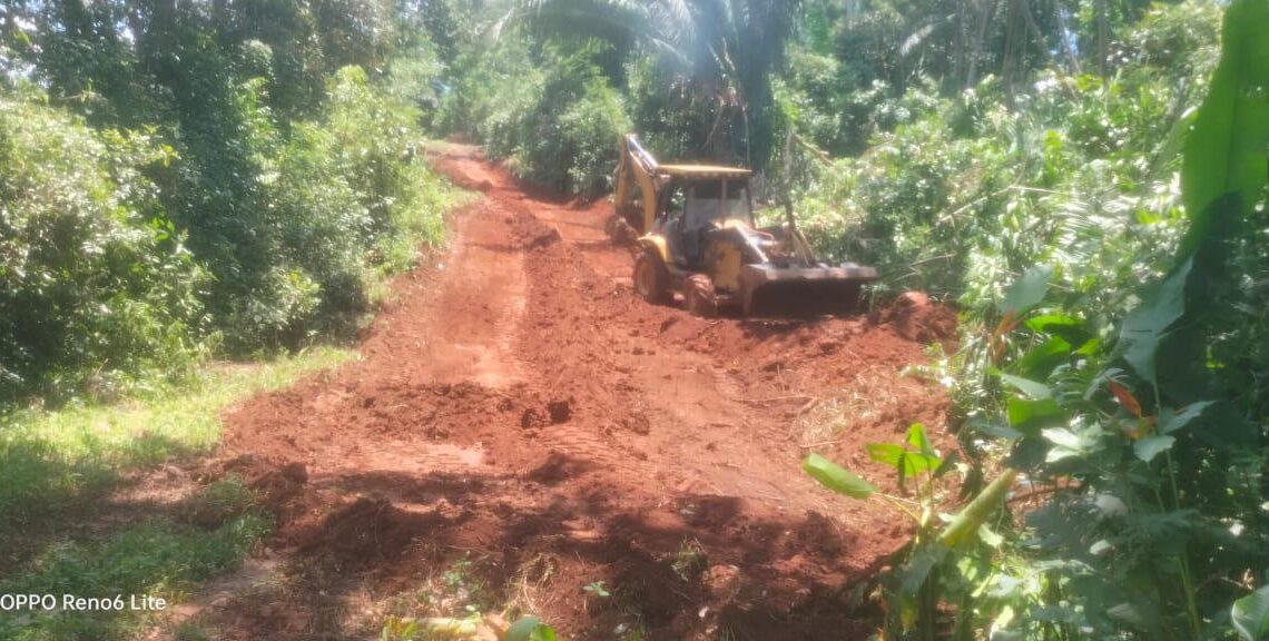 AYUNTAMIENTO DE TAPACHULA CONTINÚA CON MANTENIMIENTO EN CAMINOS RURALES