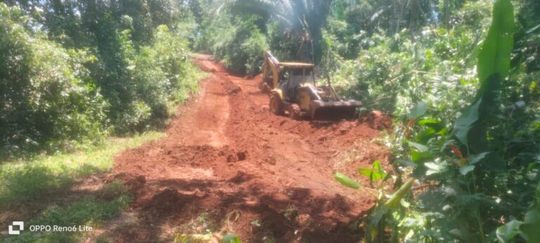 AYUNTAMIENTO DE TAPACHULA CONTINÚA CON MANTENIMIENTO EN CAMINOS RURALES