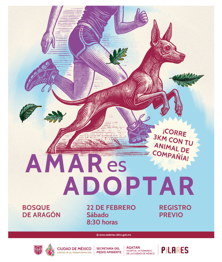 Invitan SEDEMA y AGATAN a la carrera «Amar es Adoptar» 3K