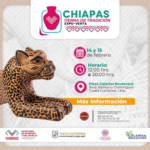 Invita Comisión de Turismo a la expo: “Chiapas, Tierra de Tradiciones” en Plaza Galerías.