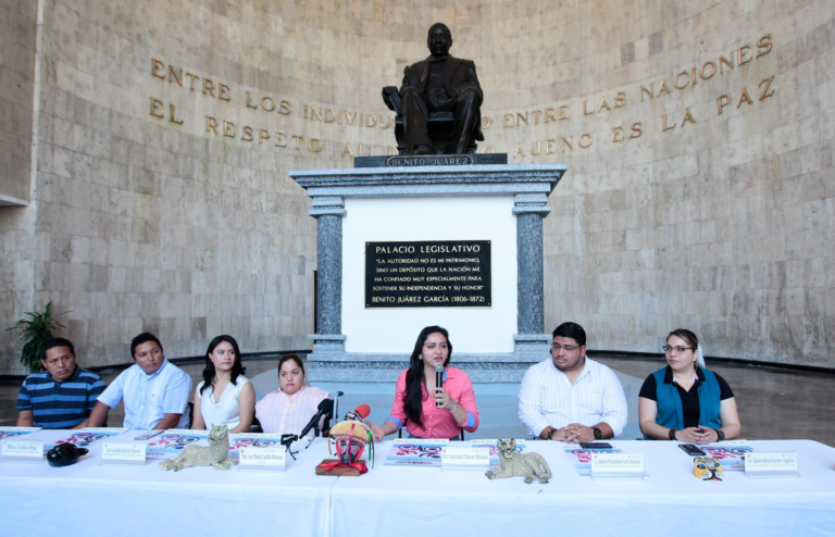 Lanzan convocatoria para el primer equipo de Tochito Bandera sobre silla de ruedas en Chiapas