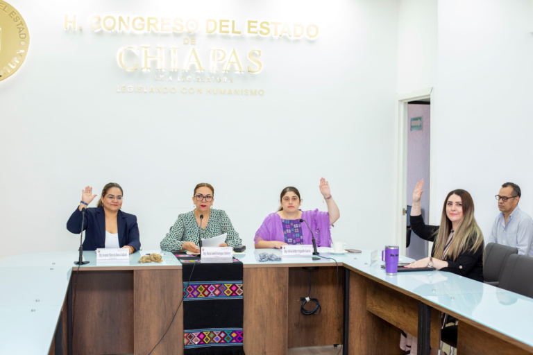 Comisión de Atención a la Mujer y a la Niñez del Congreso de Chiapas avanza en reforma para fortalecer derechos de la infancia
