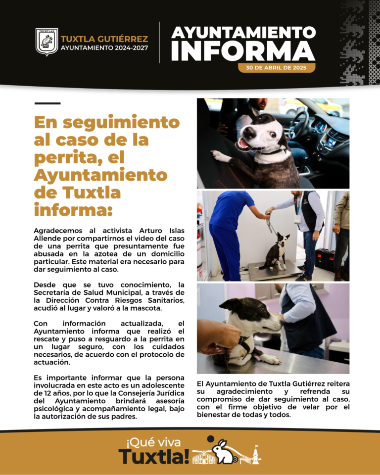 Ayuntamiento de Tuxtla Gutiérrez rescata a perrita presuntamente víctima de maltrato y brinda atención integral al caso