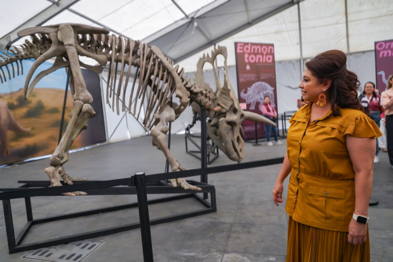 “La Ciudad de México late por sus niñas y niños”: Clara Brugada inaugura el Zocalito de las Infancias