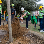 Samuel García celebra plantación de 650 mil árboles y refuerza agenda verde en Nuevo León