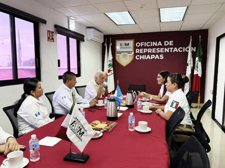 INM y Embajada de Guatemala coordinan acciones para garantizar atención digna a migrantes