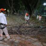 Retira Ayuntamiento de Tuxtla árboles secos en Caña Hueca para prevenir riesgos en temporada de lluvias