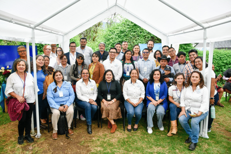 Cyntia Reyes asume la Dirección General de Cántaro Azul A.C.
