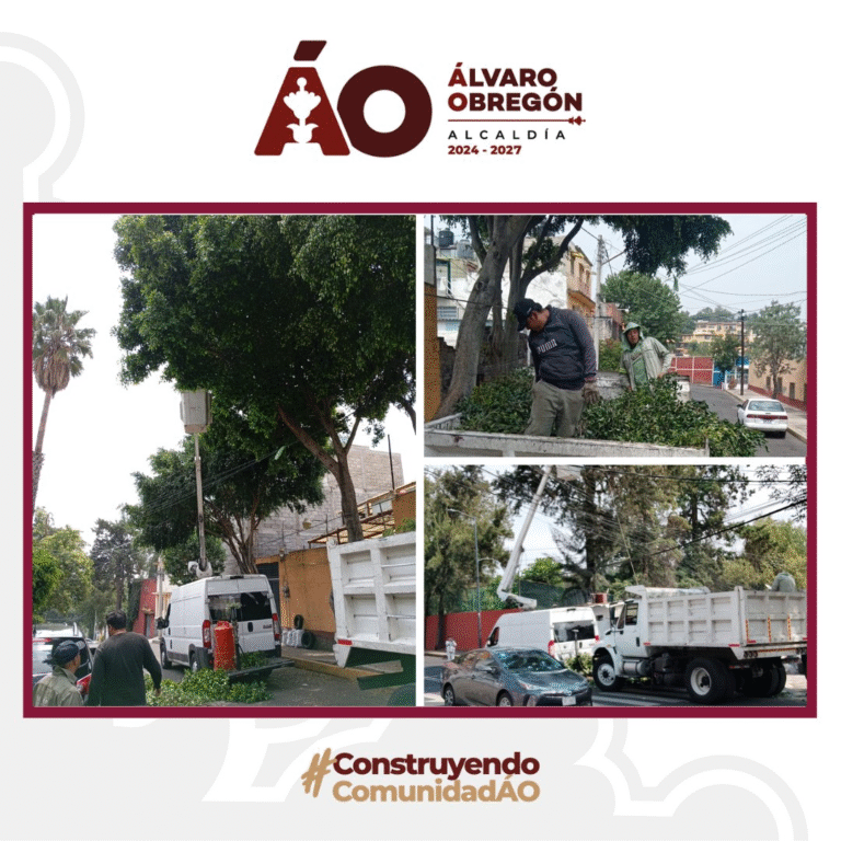 Alcaldía Álvaro Obregón realiza jornada de poda para el mantenimiento urbano