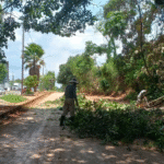 Atiende Protección Civil de Tapachula deslizamiento en la carretera costera