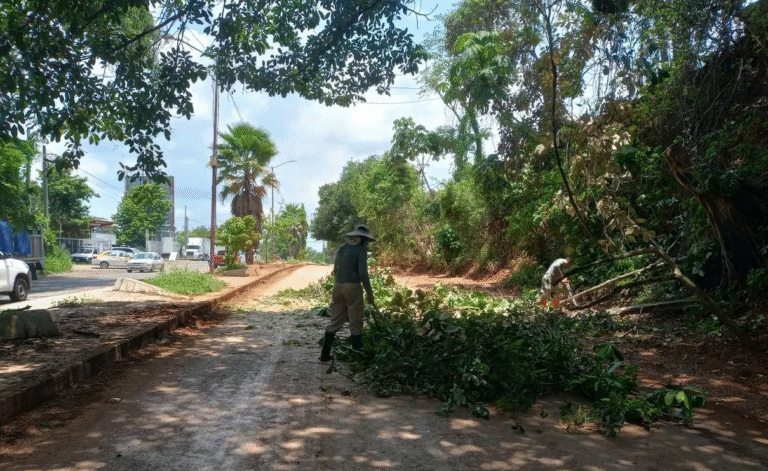 Atiende Protección Civil de Tapachula deslizamiento en la carretera costera