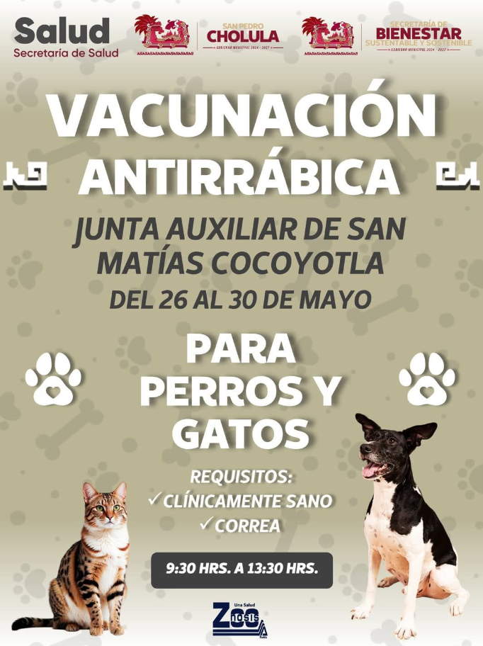 Lleva Gobierno de San Pedro Cholula jornada gratuita de vacunación antirrábica a San Matías Cocoyotla