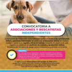 Tuxtla Gutiérrez convoca a asociaciones y rescatistas a sumarse a la protección animal