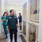 Supervisa alcalde Daniel Serrano condiciones de albergue animal en Cuautitlán Izcalli