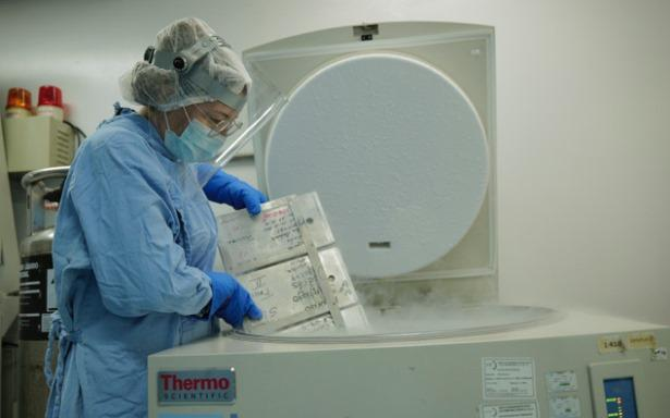 Banco de Cordón Umbilical del IMSS brinda esperanza a pacientes con enfermedades graves