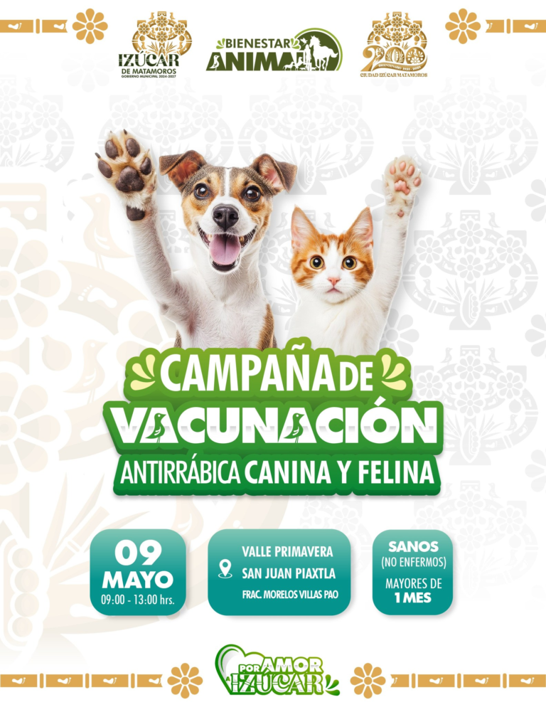 Izúcar de Matamoros lanza campaña gratuita de vacunación antirrábica para perros y gatos