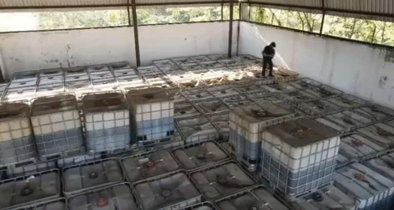 Autoridades federales y estatales aseguran 1.5 millones de litros de hidrocarburo en cateos realizados en Tabasco