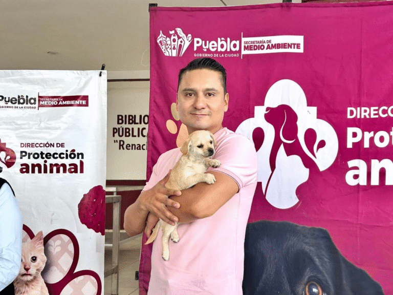 Refuerza Gobierno de Puebla capital jornadas de bienestar animal en distintas zonas de la ciudad