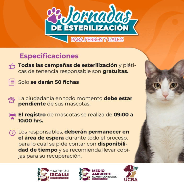 Invitan a jornada gratuita de esterilización para perros y gatos en Cuamatla