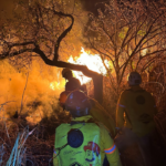 Atiende Protección Civil incendio de pastizal en El Jobo; continúan labores de mitigación