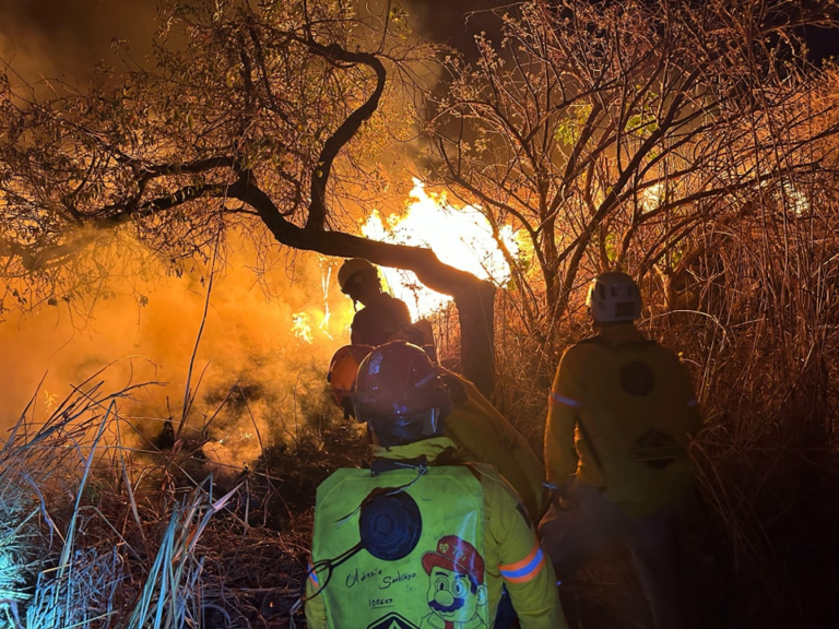 Atiende Protección Civil incendio de pastizal en El Jobo; continúan labores de mitigación