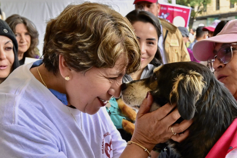 La Final con Corazón: Invitan a adoptar perritos en el Toluca vs América