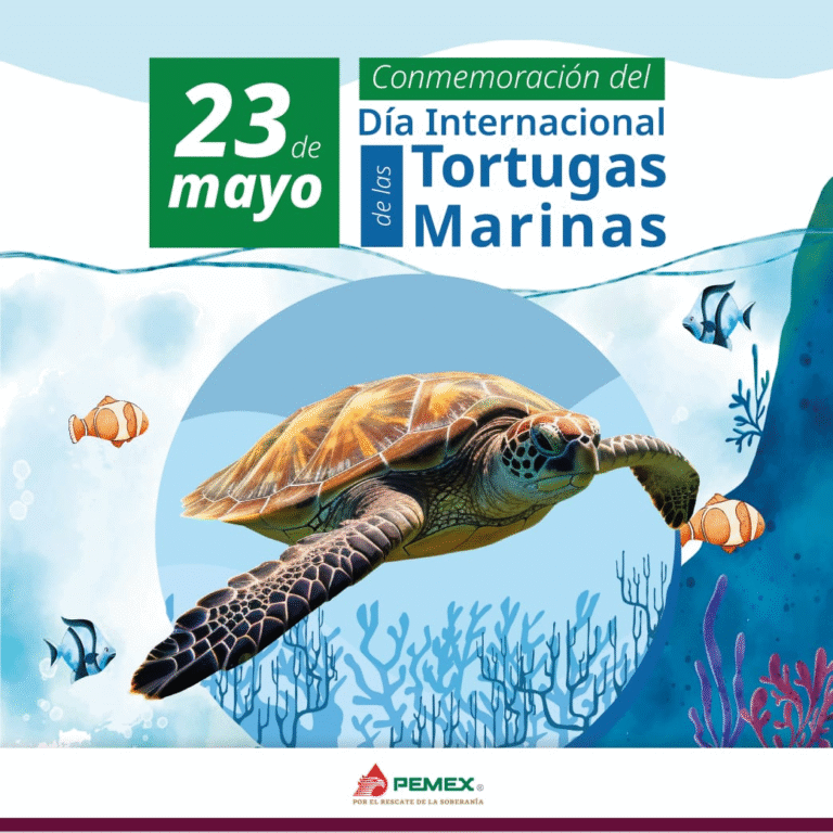 PEMEX reafirma su compromiso con la protección de las tortugas marinas y la biodiversidad oceánica