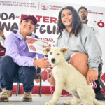Tláhuac alcanza más de 200 esterilizaciones en favor del bienestar animal